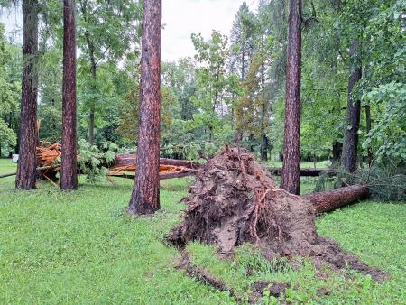 Posledice nočnega neurja. (2)